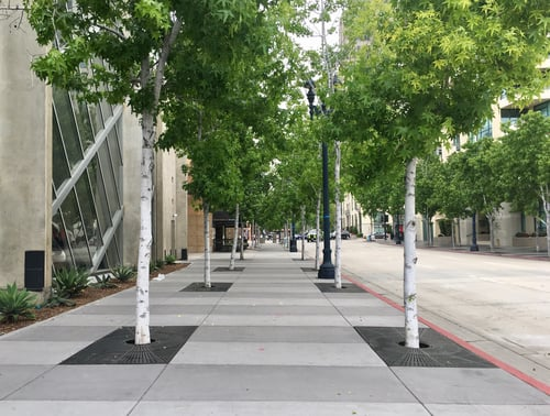 Sidewalks & Walkways